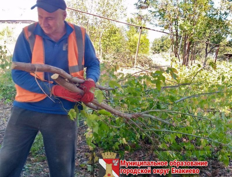 Муниципальными унитарными предприятиями городского округа Енакиево выполнены работы по благоустройству.