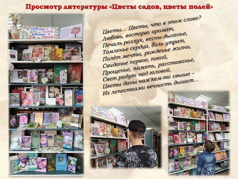 Просмотр литературы «Цветы садов, цветы полей».