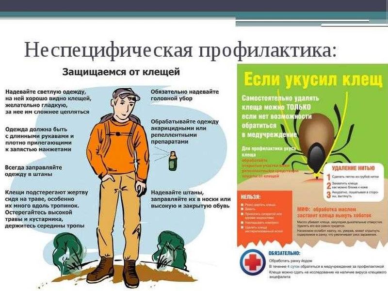 Вниманию жителей городского округа Енакиево!.