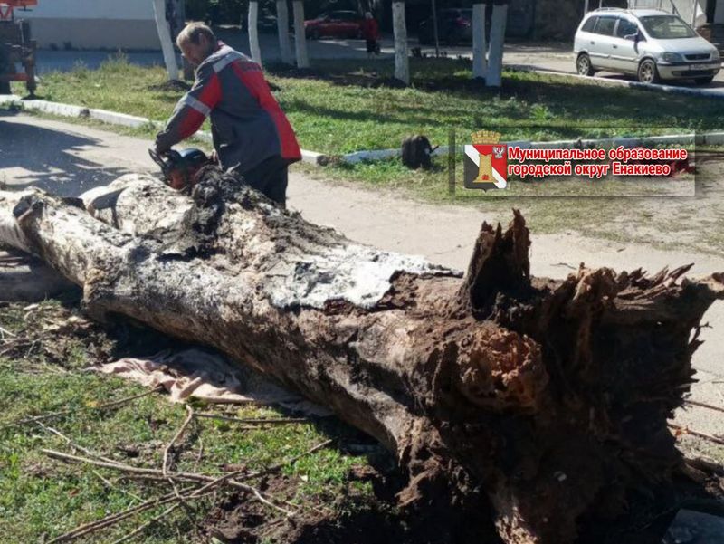 Муниципальными унитарными предприятиями городского округа Енакиево выполнены работы по благоустройству.