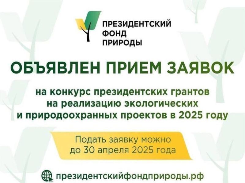 Информация о конкурсе на предоставление грантов Президента Российской Федерации на реализацию экологических и природоохранных проектов в 2025 году.