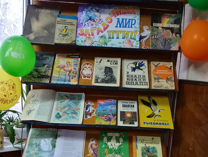 В библиотеке-филиале № 4 оформлена книжная выставка «Загадочный мир птиц».