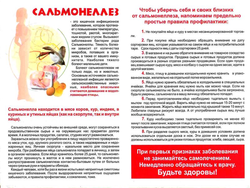 Профилактика сальмонеллеза.