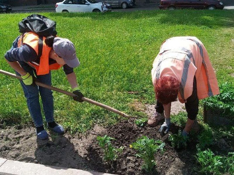 МУП города Енакиево были выполнены мероприятия по приведению в надлежащее санитарное состояние территорий.