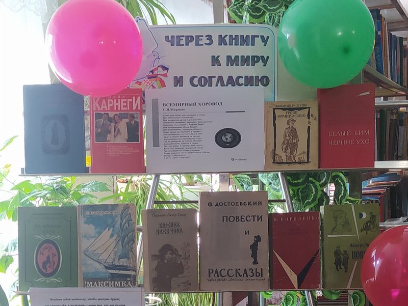 Состоялся просмотр книжной выставки «Через книгу к миру и согласию».