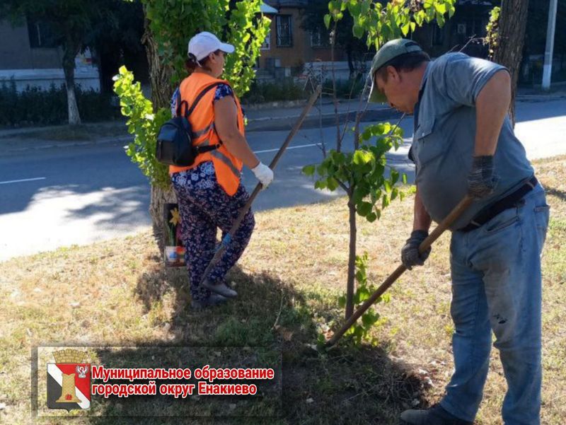 Муниципальными унитарными предприятиями городского округа Енакиево выполнены работы по благоустройству.