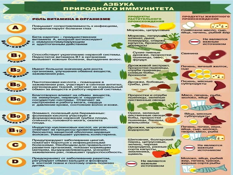 Как питание влияет на иммунитет.