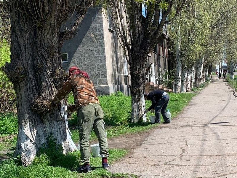 МУП города Енакиево были выполнены мероприятия по приведению в надлежащее санитарное состояние территорий.