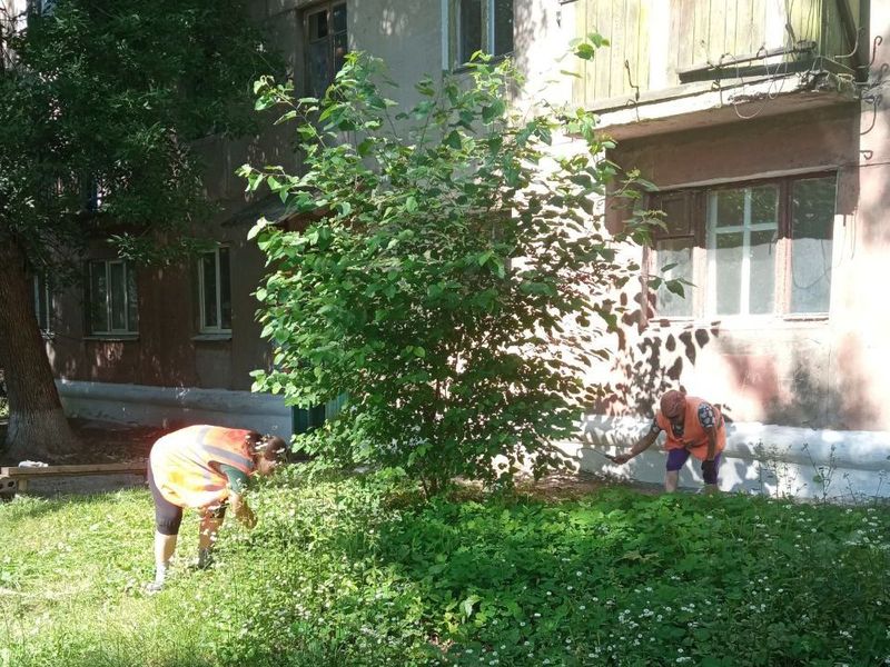 МУП города Енакиево были выполнены мероприятия по приведению в надлежащее санитарное состояние территорий.