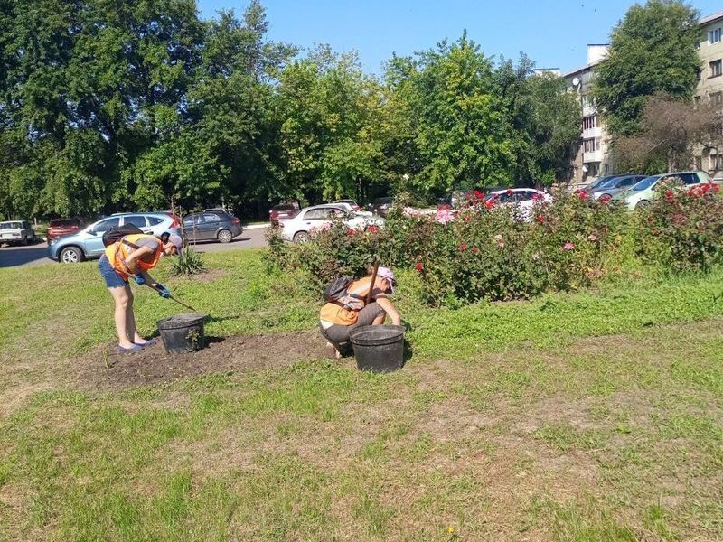 МУП города Енакиево были выполнены мероприятия по приведению в надлежащее санитарное состояние территорий.