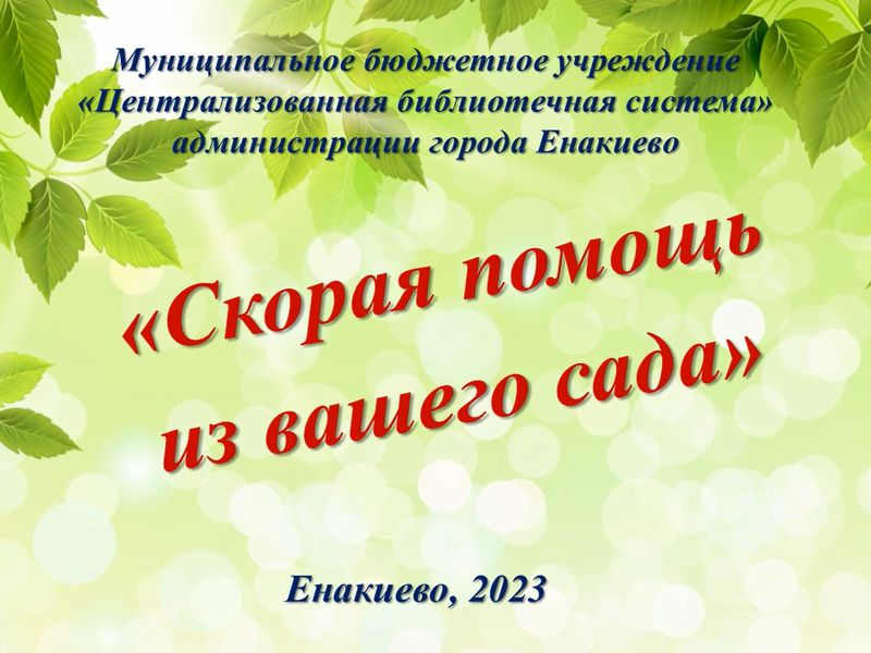 Слайд-путешествие «Скорая помощь из вашего сада».