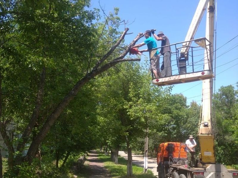 МУП города Енакиево были выполнены мероприятия по приведению в надлежащее санитарное состояние территорий.