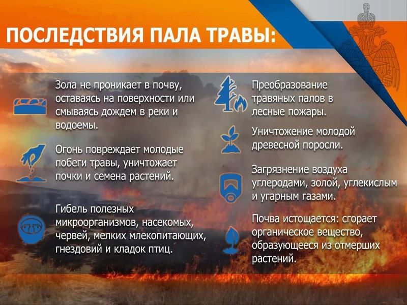 Последствия пала травы.