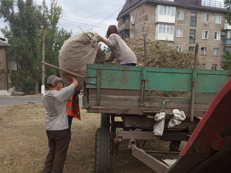 МУП города Енакиево были выполнены мероприятия по приведению в надлежащее санитарное состояние территорий.