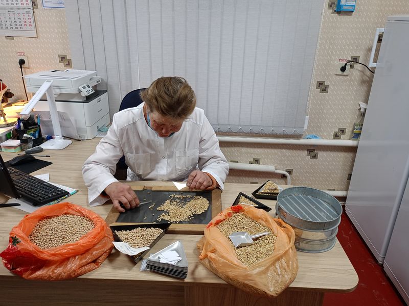 «Донецкий» Россельхозцентр проводит проверку яровых культур в ДНР .