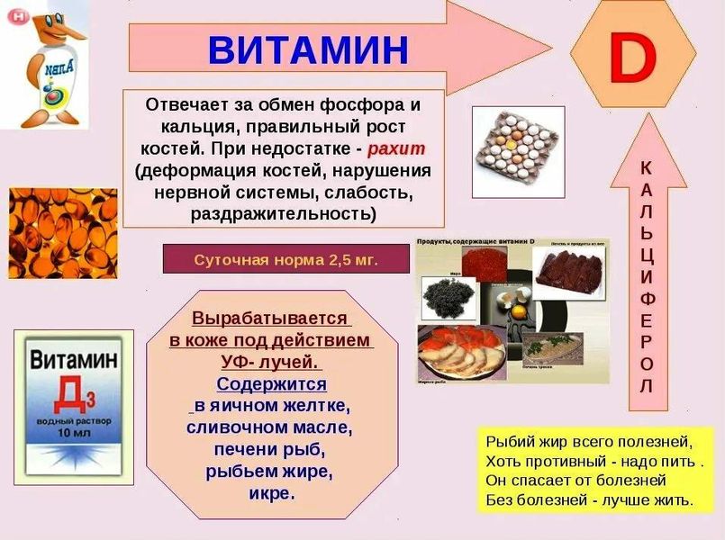 Польза витамина D.