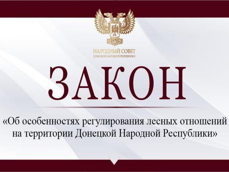 Урегулированы лесные отношения в Республике в переходный период.