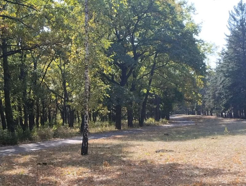 Золотая осень в парке Вознесенского.