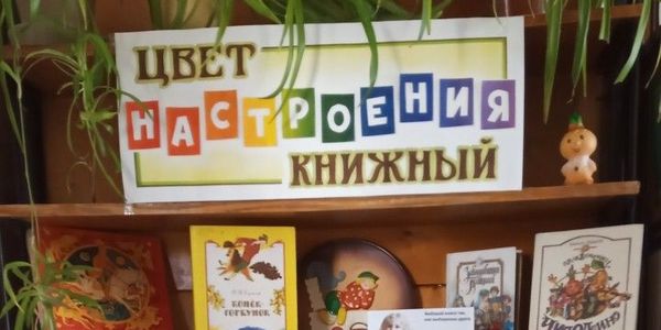 Книжная выставка «Цвет настроения книжный».