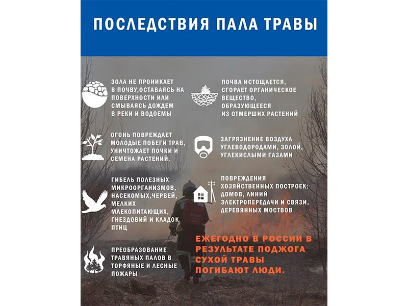 Последствия пала травы!.