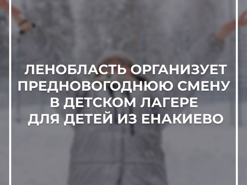 Ленобласть организовала предновогоднюю смену в детском лагере для детей из Енакиево.