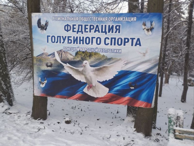 Выставка птиц. Выставка птиц.