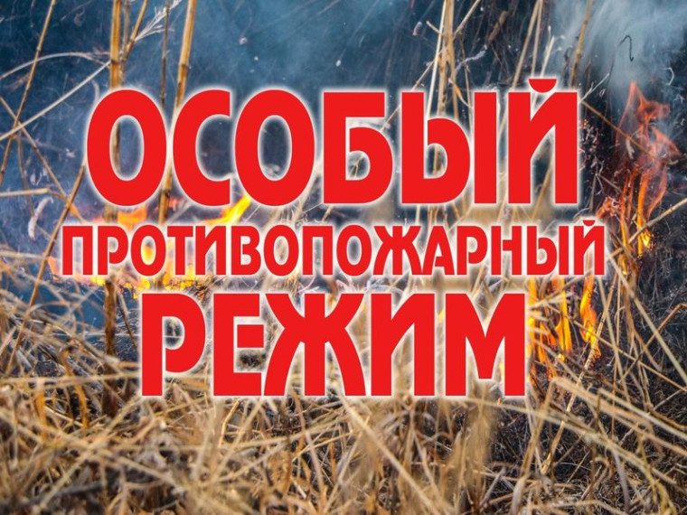 Требования пожарной безопасности в условиях особого противопожарного режима!. Требования пожарной безопасности в условиях особого противопожарного режима!.
