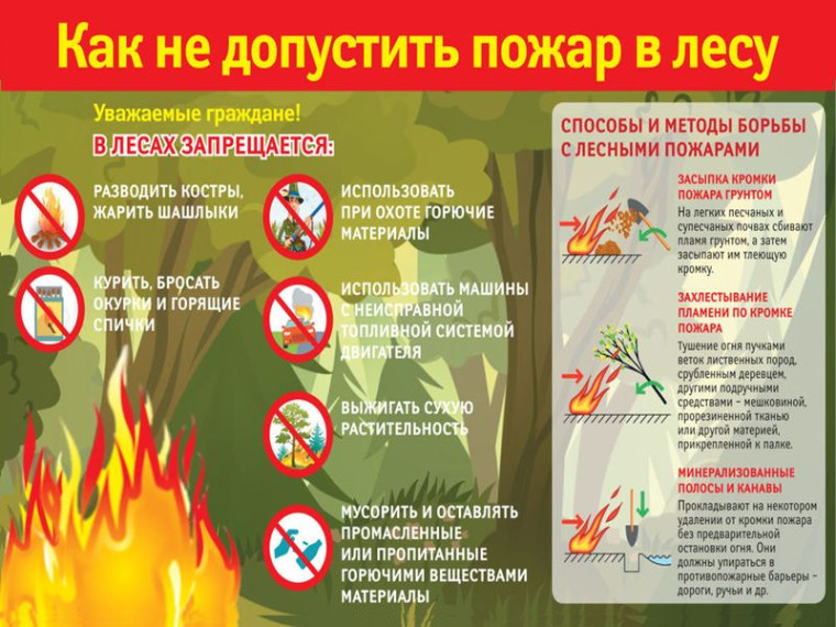 Как не допустить пожар в лесу. Как не допустить пожар в лесу.
