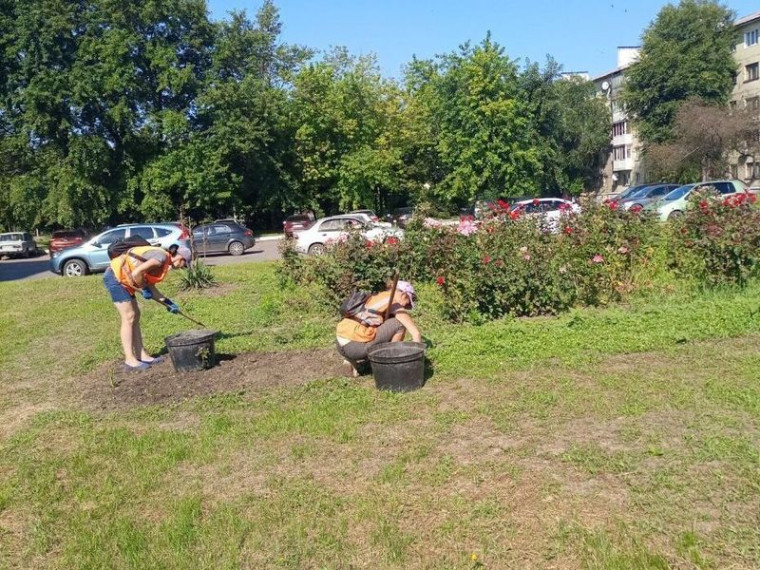 МУП города Енакиево были выполнены мероприятия по приведению в надлежащее санитарное состояние территорий. МУП города Енакиево были выполнены мероприятия по приведению в надлежащее санитарное состояние территорий.
