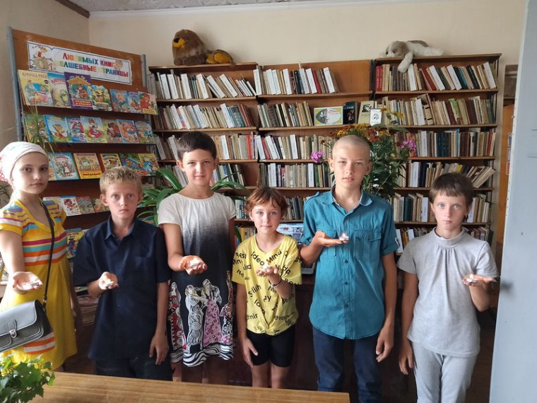 Проведен час памяти «Белые ангелы Донбасса» ко Дню памяти детей – жертв войны в Донбассе. Проведен час памяти «Белые ангелы Донбасса» ко Дню памяти детей – жертв войны в Донбассе.