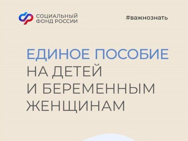 Ежемесячное пособие в связи с рождением и воспитанием ребенка (единое пособие): сроки выплаты. Ежемесячное пособие в связи с рождением и воспитанием ребенка (единое пособие): сроки выплаты.
