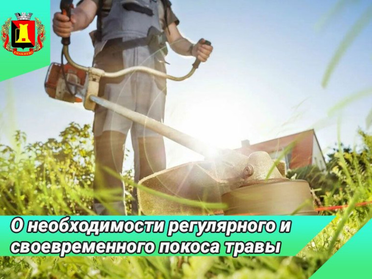 Информация о необходимости регулярного и своевременного покоса травы. Информация о необходимости регулярного и своевременного покоса травы.