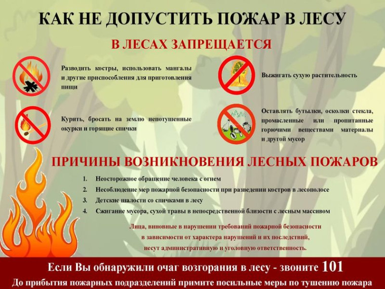 Памятка. Как не допустить пожар в лесу. Памятка. Как не допустить пожар в лесу.