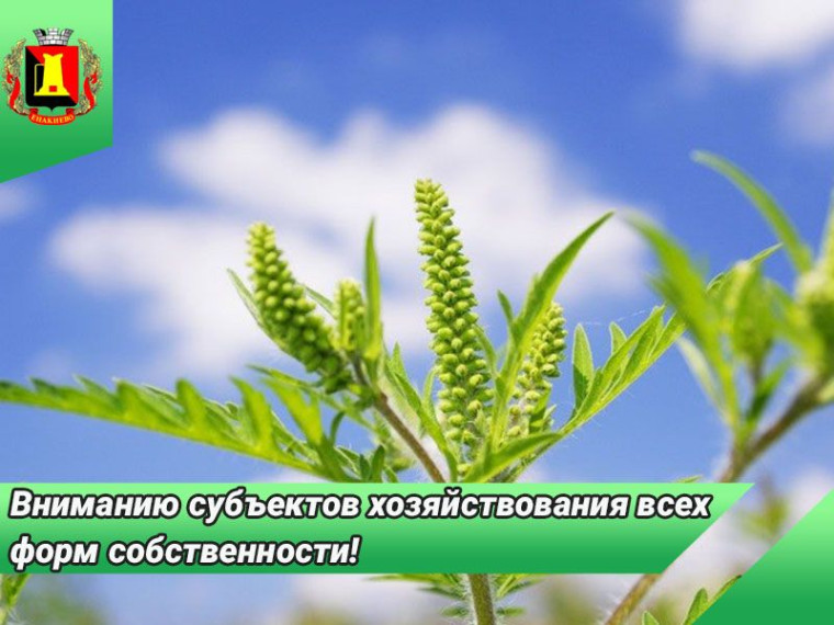 Вниманию субъектов хозяйствования всех форм собственности!. Вниманию субъектов хозяйствования всех форм собственности!.