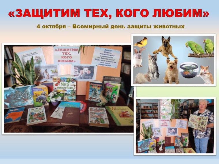 Оформлена выставка-рекомендация «Защитим тех, кого любим». Оформлена выставка-рекомендация «Защитим тех, кого любим».