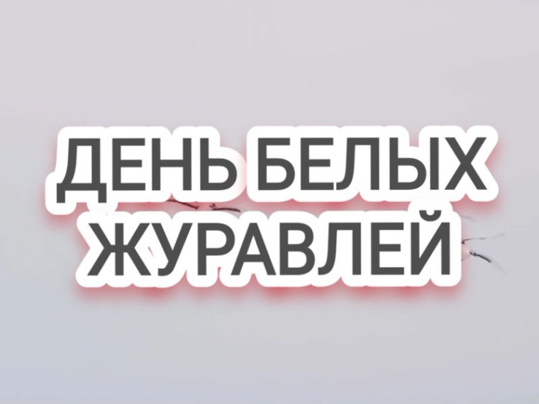 Обучающиеся МБОУ "Школа №8" города Енакиево вспоминают всех солдат которые встали на защиту своей родины. Обучающиеся МБОУ "Школа №8" города Енакиево вспоминают всех солдат которые встали на защиту своей родины.