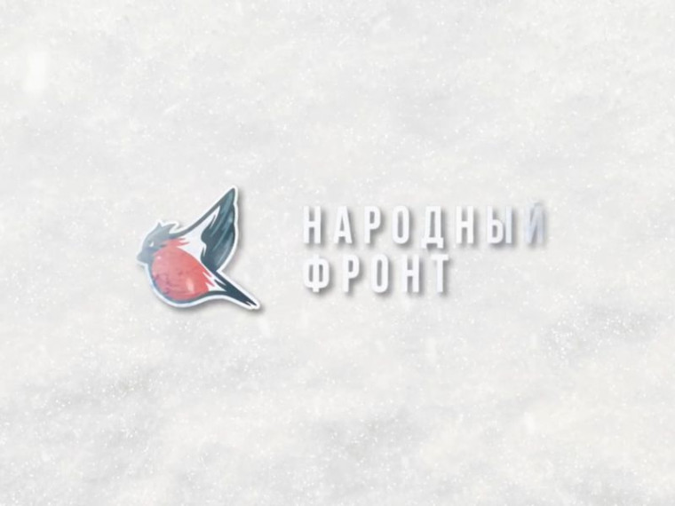 Участники «Молодёжного крыла Народного фронта» в городе Енакиево активно занимаются раздачей новогодних подарков. Участники «Молодёжного крыла Народного фронта» в городе Енакиево активно занимаются раздачей новогодних подарков.