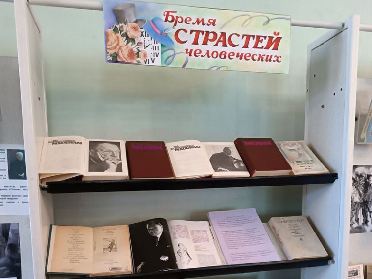 Проведена книжно-иллюстративная выставка «Бремя странностей человеческих». Проведена книжно-иллюстративная выставка «Бремя странностей человеческих».