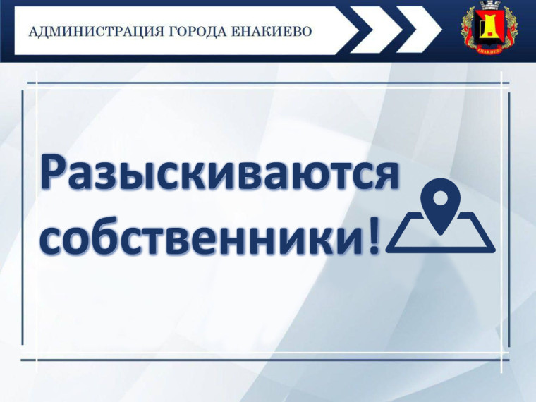 Внимание! Разыскиваются собственники!. Внимание! Разыскиваются собственники!.