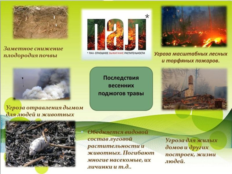 Поджог травы - это не шалость, это - преступление. Поджог травы - это не шалость, это - преступление.