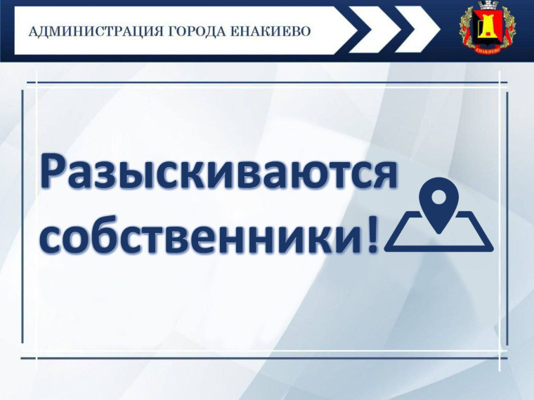 Внимание! Разыскиваются собственники!. Внимание! Разыскиваются собственники!.