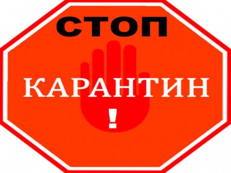 Выявлен случай заболевания африканской чумой свиней. Выявлен случай заболевания африканской чумой свиней.
