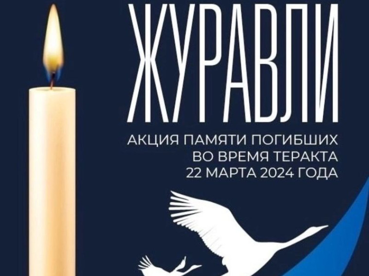 Молодежь присоединилась к акции «Окна памяти». Молодежь присоединилась к акции «Окна памяти».