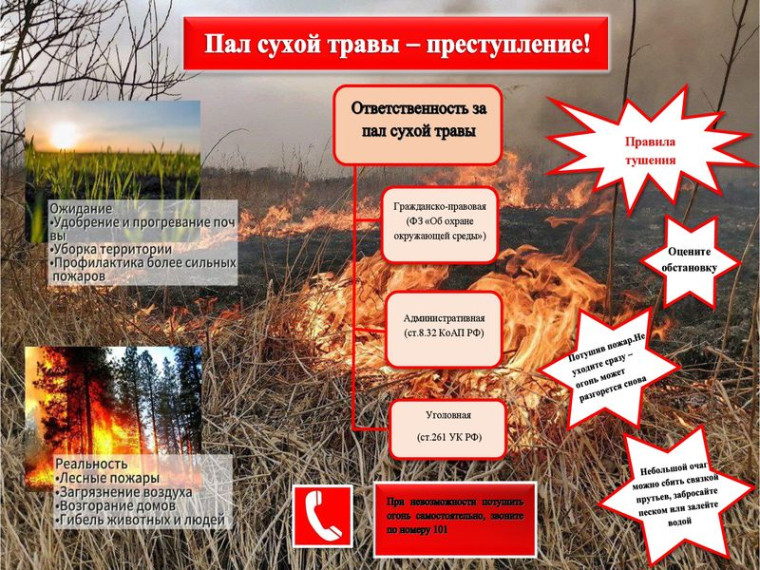Пал сухой травы - преступление!. Пал сухой травы - преступление!.