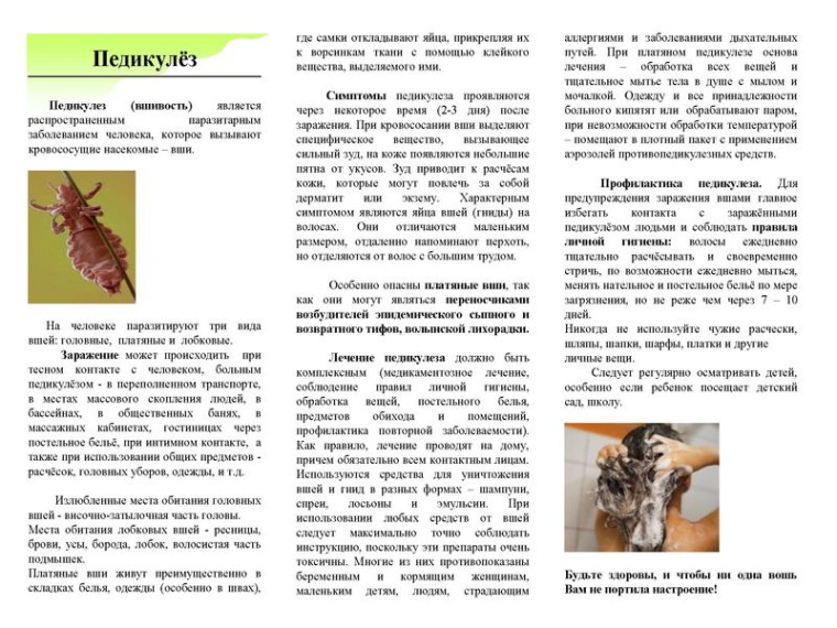 Памятка о педикулёзе. Памятка о педикулёзе.