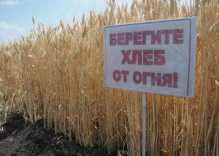 Меры пожарной безопасности при уборке зерновых. Меры пожарной безопасности при уборке зерновых.