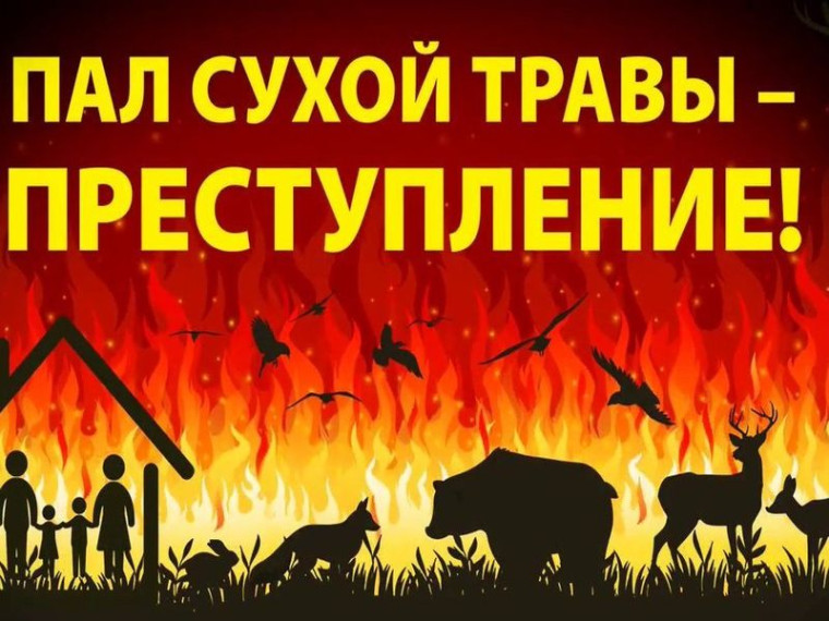 Пожарная безопасность в период действия чрезвычайной ситуации. Пожарная безопасность в период действия чрезвычайной ситуации.