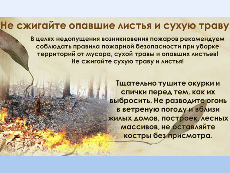 Не сжигайте опавшие листья и сухую траву!. Не сжигайте опавшие листья и сухую траву!.