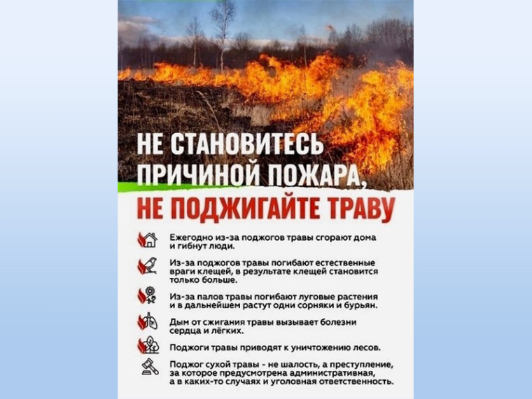 Поджог сухой травы - не шалость!. Поджог сухой травы - не шалость!.