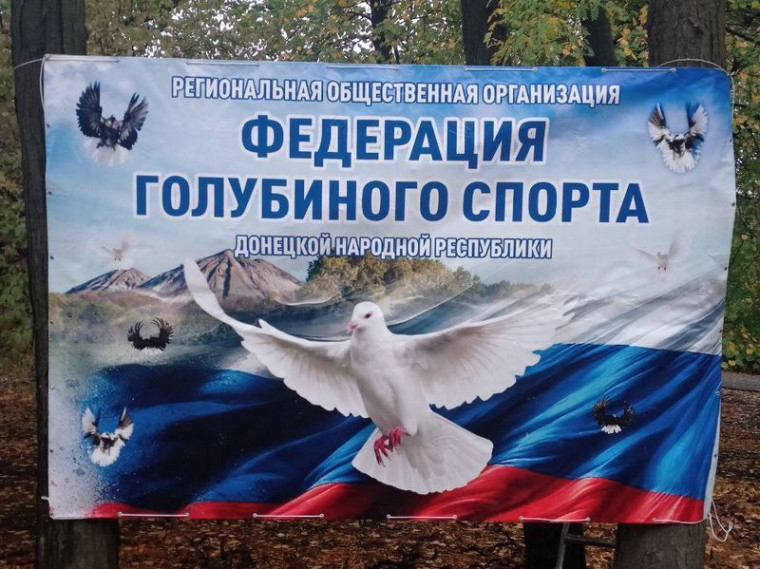 В «Парке культуры и отдыха имени Н.А. Вознесенского» прошла выставка-ярмарка голубей и домашних питомцев. В «Парке культуры и отдыха имени Н.А. Вознесенского» прошла выставка-ярмарка голубей и домашних питомцев.